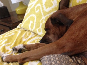 wake up serenely next to or hearing something that makes you smile!